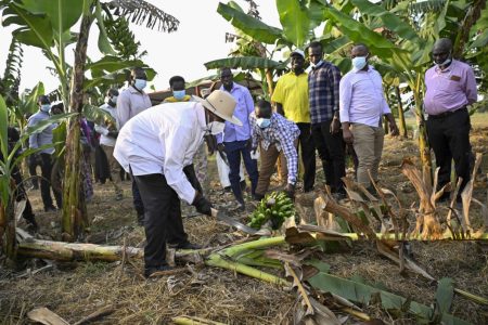 Museveni Calls 0n Teso Leaders To Tackle Land Fragmentation For Sustainable Development